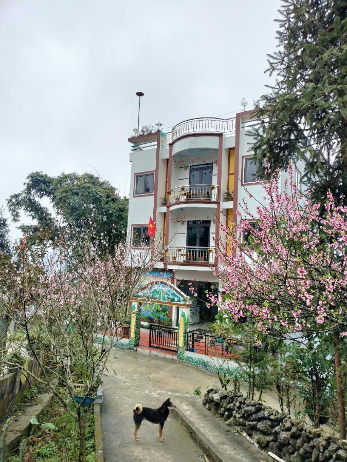 Flying Horse B & B Sa Pa Exterior photo